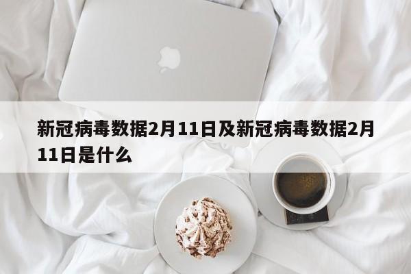 新冠病毒数据2月11日及新冠病毒数据2月11日是什么