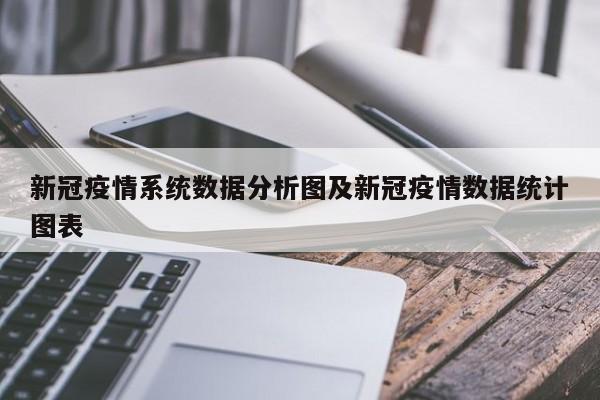 新冠疫情系统数据分析图及新冠疫情数据统计图表