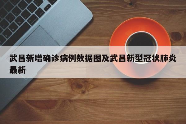 武昌新增确诊病例数据图及武昌新型冠状肺炎最新