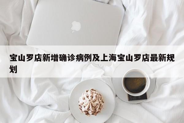 宝山罗店新增确诊病例及上海宝山罗店最新规划