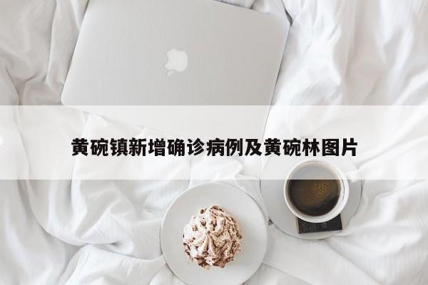 黄碗镇新增确诊病例及黄碗林图片