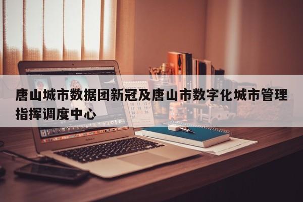 唐山城市数据团新冠及唐山市数字化城市管理指挥调度中心