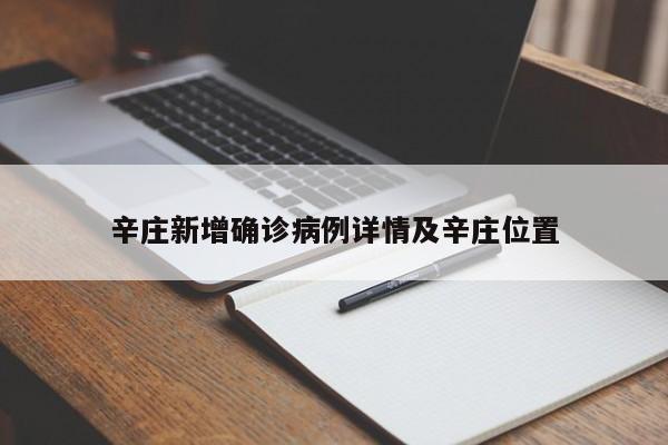 辛庄新增确诊病例详情及辛庄位置