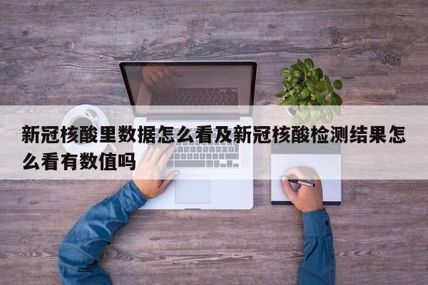 新冠核酸里数据怎么看及新冠核酸检测结果怎么看有数值吗