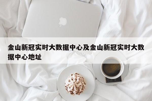 金山新冠实时大数据中心及金山新冠实时大数据中心地址