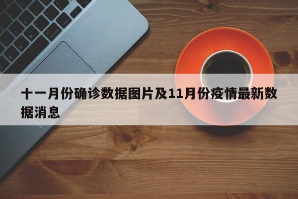 十一月份确诊数据图片及11月份疫情最新数据消息