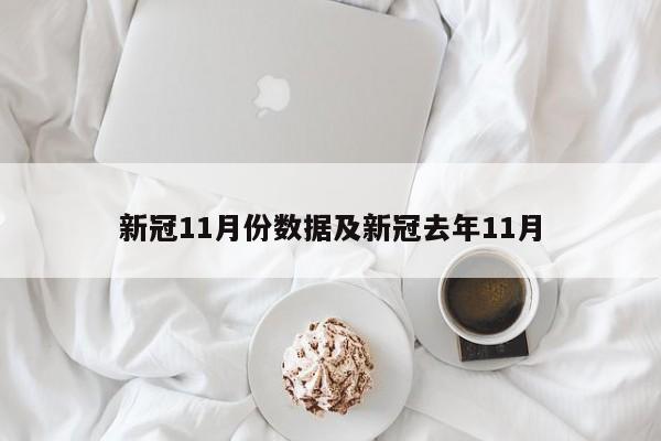 新冠11月份数据及新冠去年11月