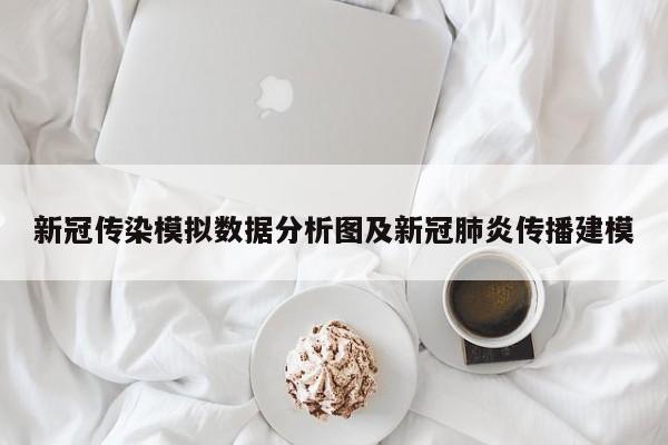 新冠传染模拟数据分析图及新冠肺炎传播建模