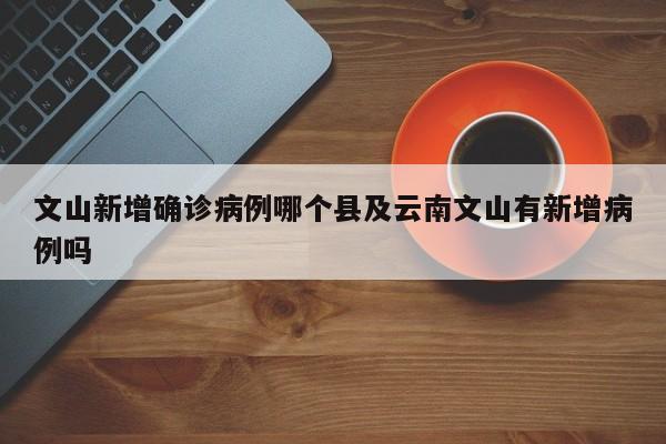 文山新增确诊病例哪个县及云南文山有新增病例吗