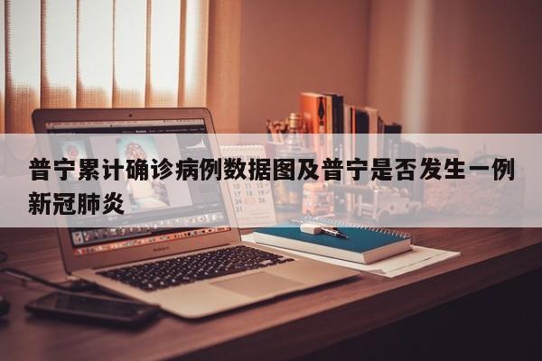 普宁累计确诊病例数据图及普宁是否发生一例新冠肺炎