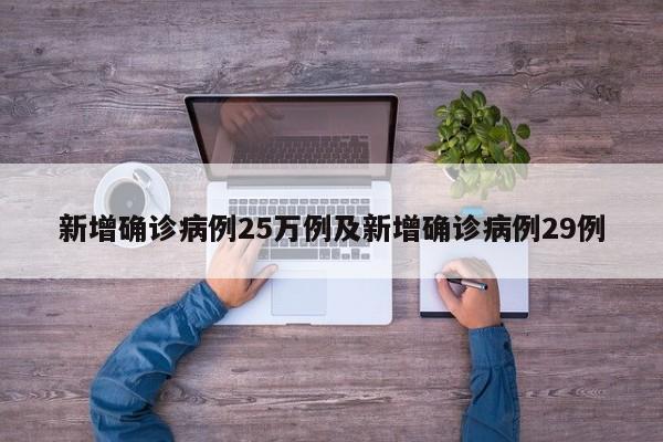 新增确诊病例25万例及新增确诊病例29例