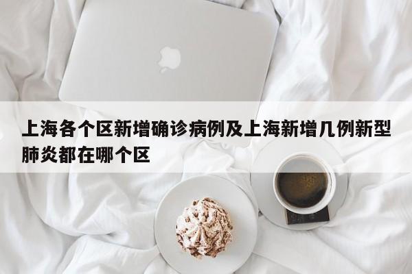 上海各个区新增确诊病例及上海新增几例新型肺炎都在哪个区
