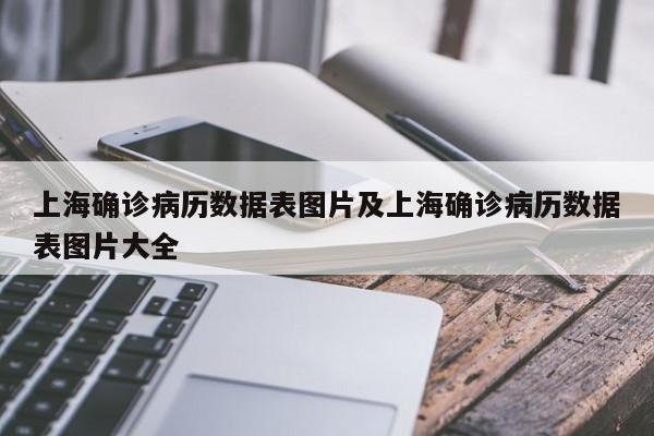上海确诊病历数据表图片及上海确诊病历数据表图片大全
