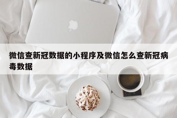 微信查新冠数据的小程序及微信怎么查新冠病毒数据