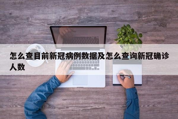 怎么查目前新冠病例数据及怎么查询新冠确诊人数