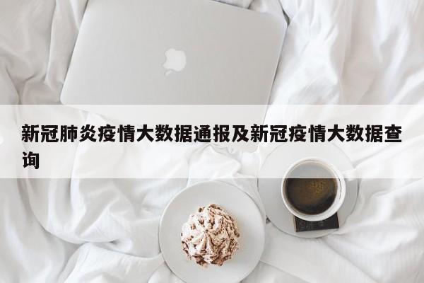 新冠肺炎疫情大数据通报及新冠疫情大数据查询