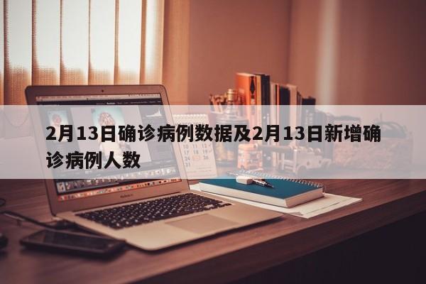 2月13日确诊病例数据及2月13日新增确诊病例人数